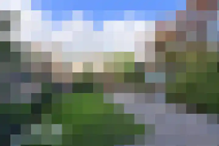 Disselweg 6 Huizen thumbnail 4