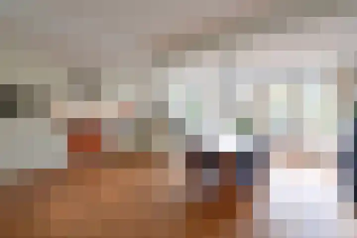 Disselweg 6 Huizen thumbnail 6