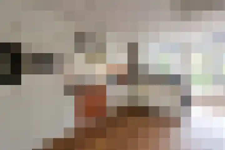 Disselweg 6 Huizen thumbnail 7