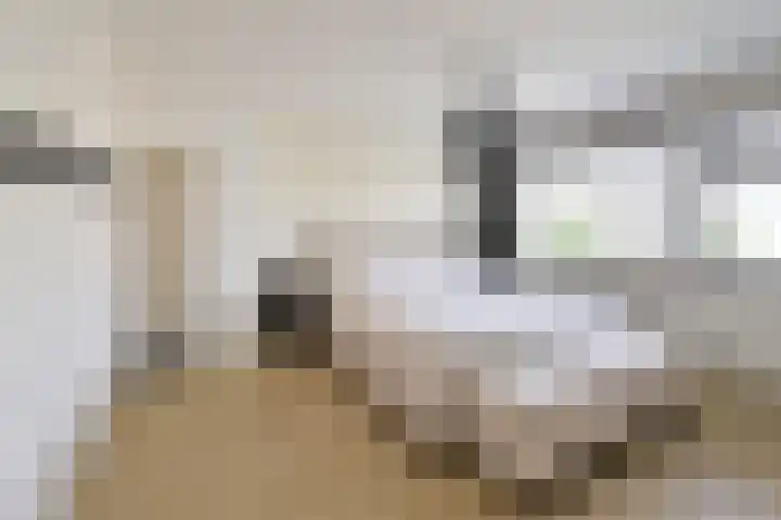 Disselweg 8 Huizen thumbnail 15
