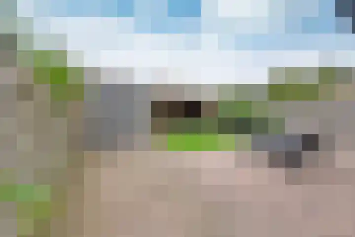 Disselweg 8 Huizen thumbnail 23