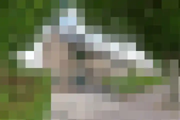 Disselweg 8 Huizen thumbnail 29
