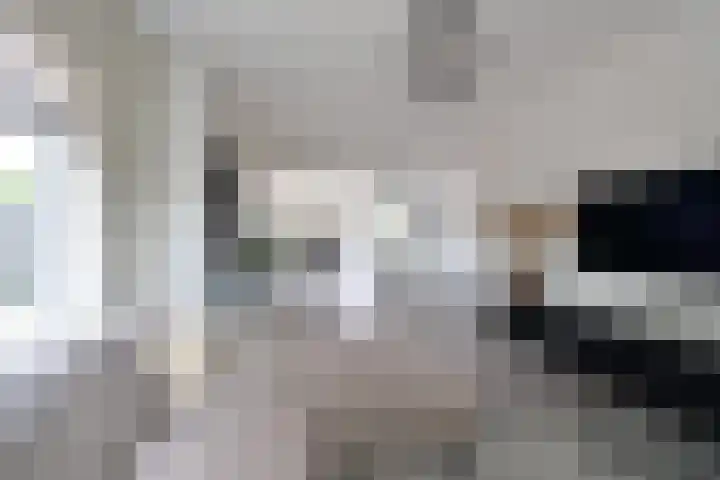 Disselweg 8 Huizen thumbnail 6