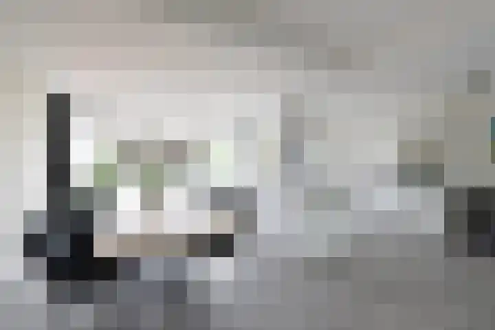 Disselweg 8 Huizen thumbnail 7