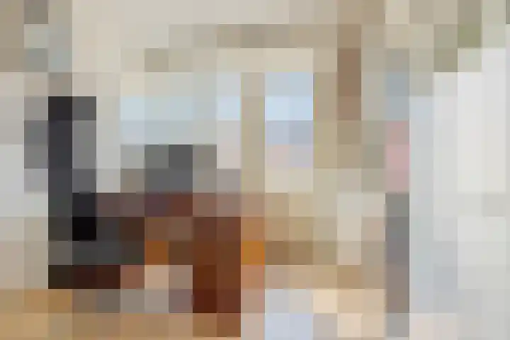 Disseveltstraat 9 Rijnsburg thumbnail 24