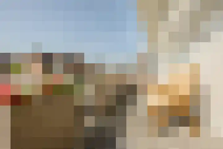 Disseveltstraat 9 Rijnsburg thumbnail 25