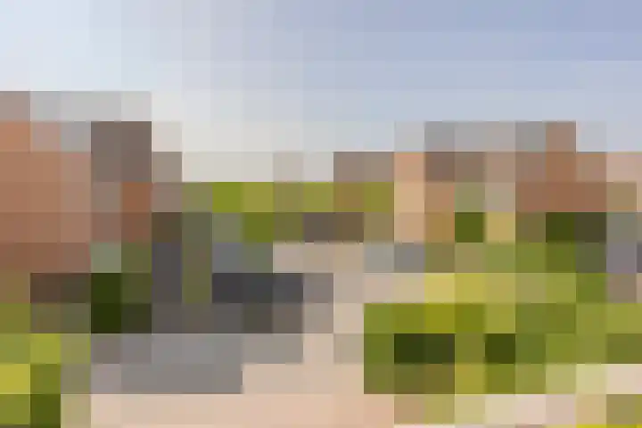 Disseveltstraat 9 Rijnsburg thumbnail 26