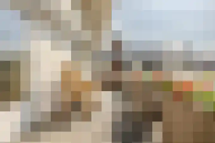 Disseveltstraat 9 Rijnsburg thumbnail 27