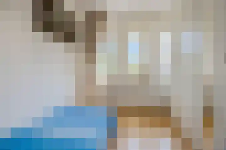 Disseveltstraat 9 Rijnsburg thumbnail 29