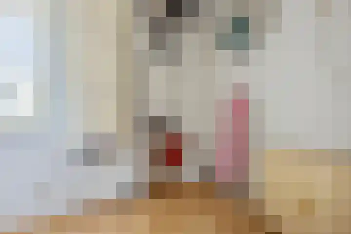 Disseveltstraat 9 Rijnsburg thumbnail 40
