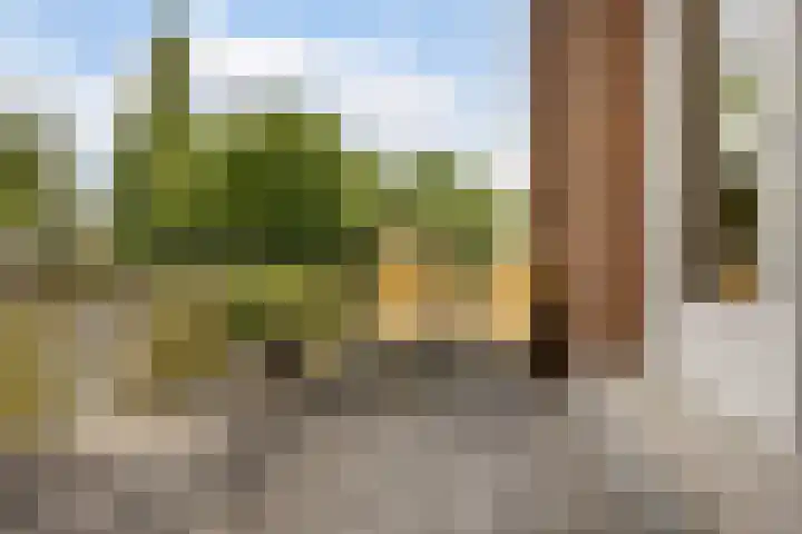 Disseveltstraat 9 Rijnsburg thumbnail 46