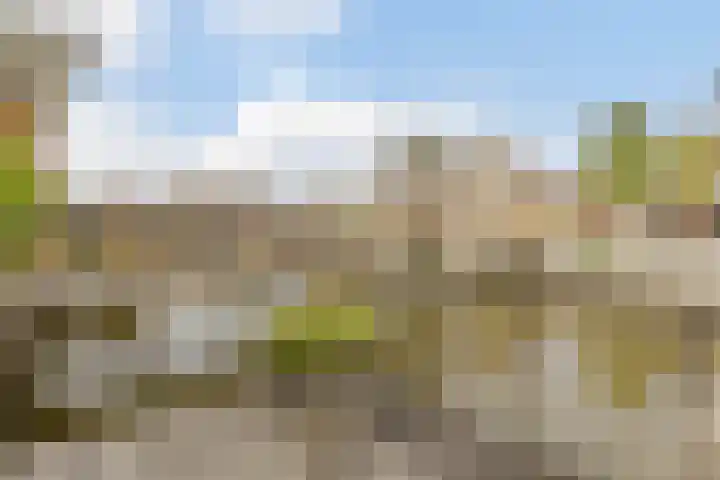 Disseveltstraat 9 Rijnsburg thumbnail 47