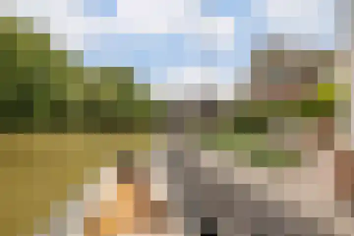 Disseveltstraat 9 Rijnsburg thumbnail 48