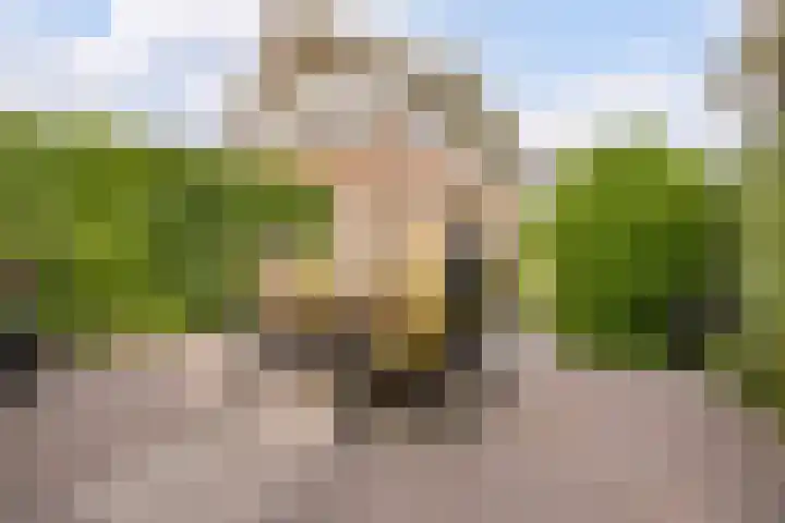 Disseveltstraat 9 Rijnsburg thumbnail 49
