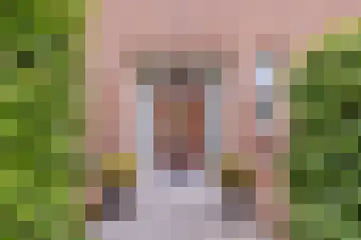 Disseveltstraat 9 Rijnsburg thumbnail 5