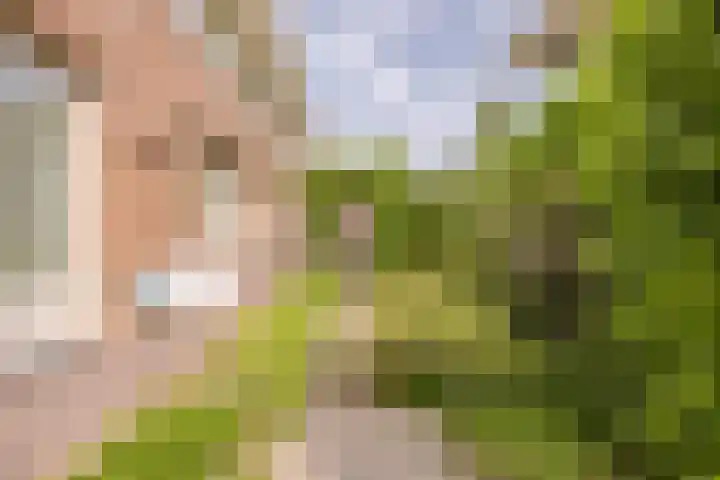Disseveltstraat 9 Rijnsburg thumbnail 50
