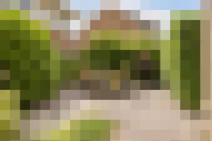 Disseveltstraat 9 Rijnsburg thumbnail 51
