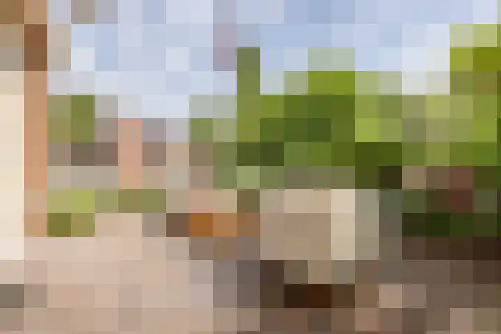 Disseveltstraat 9 Rijnsburg thumbnail 53