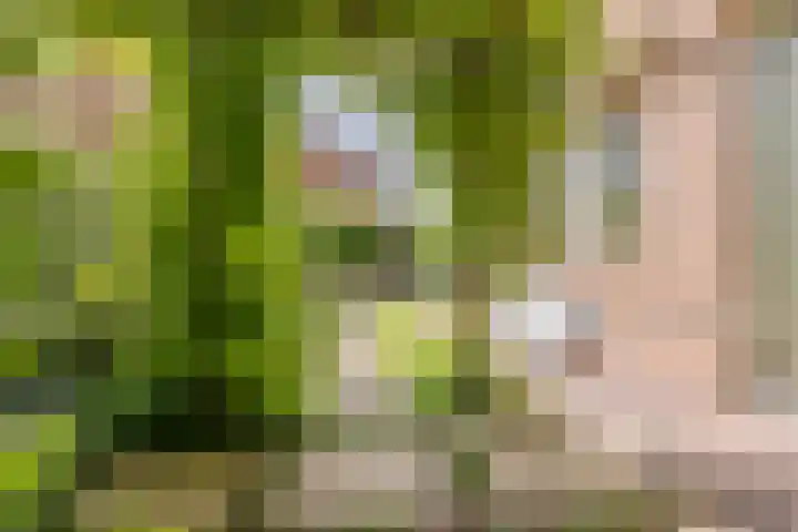 Disseveltstraat 9 Rijnsburg thumbnail 55