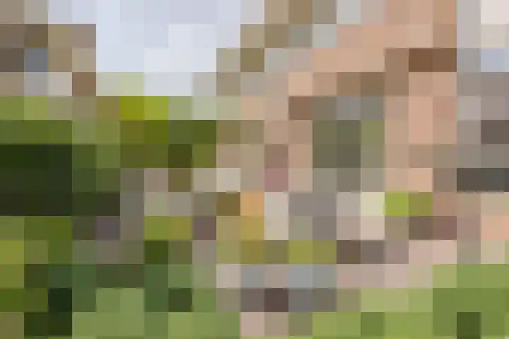 Disseveltstraat 9 Rijnsburg thumbnail 56