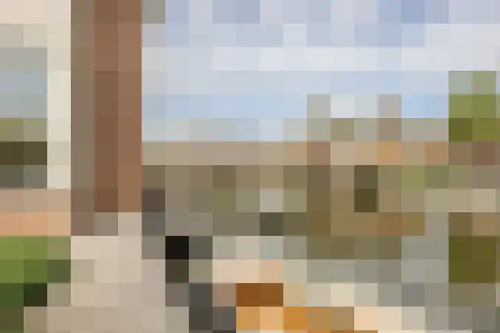 Disseveltstraat 9 Rijnsburg thumbnail 57