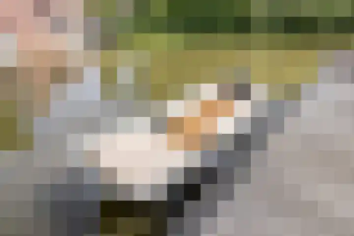 Disseveltstraat 9 Rijnsburg thumbnail 58