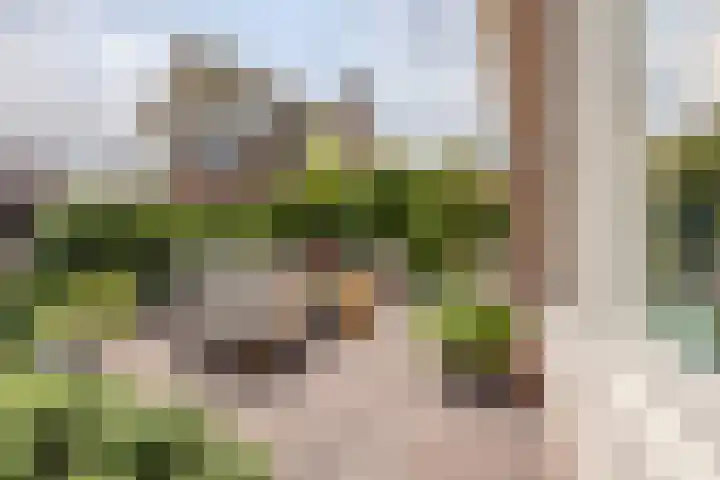 Disseveltstraat 9 Rijnsburg thumbnail 59