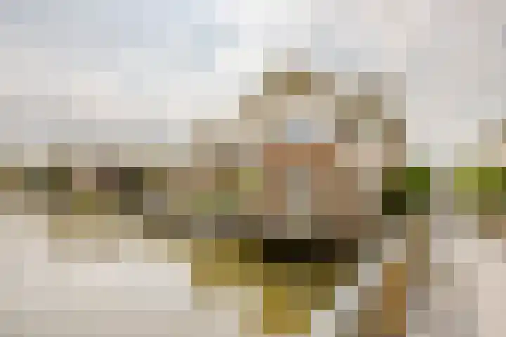 Disseveltstraat 9 Rijnsburg thumbnail 61