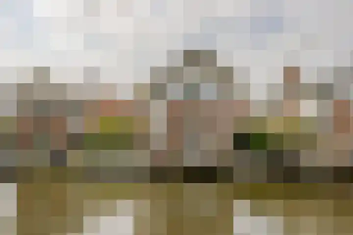 Disseveltstraat 9 Rijnsburg thumbnail 62