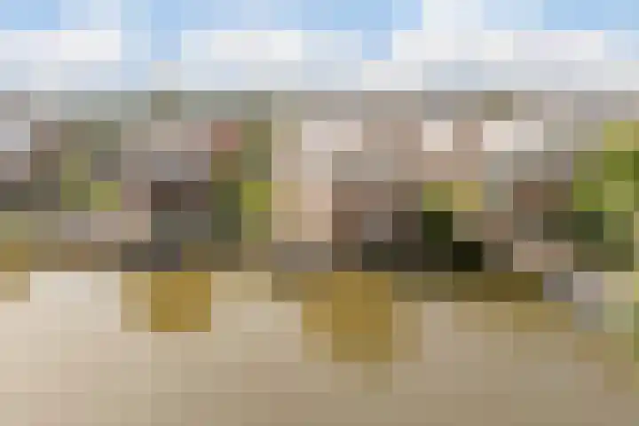 Disseveltstraat 9 Rijnsburg thumbnail 64
