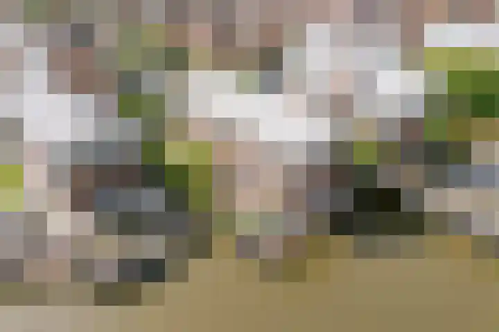 Disseveltstraat 9 Rijnsburg thumbnail 65