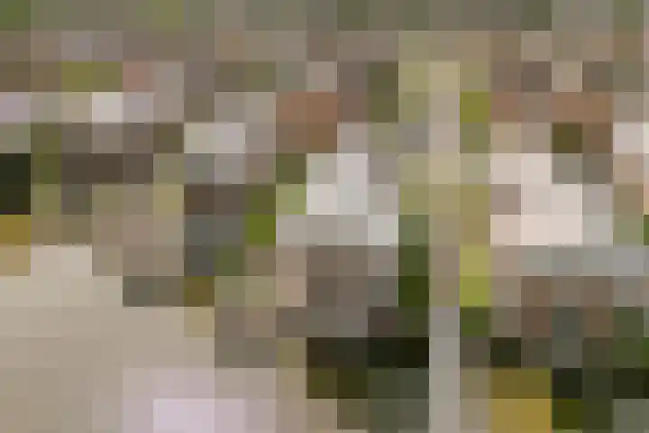 Disseveltstraat 9 Rijnsburg thumbnail 66
