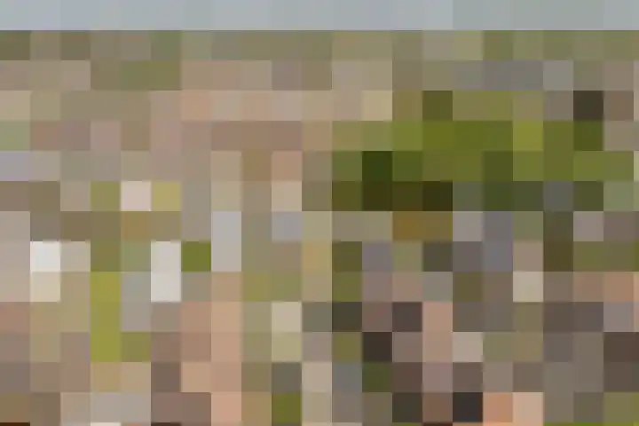 Disseveltstraat 9 Rijnsburg thumbnail 69