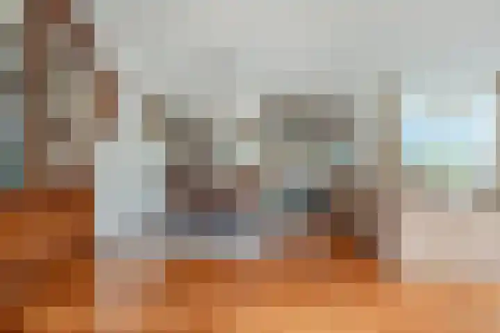 Disseveltstraat 9 Rijnsburg thumbnail 9