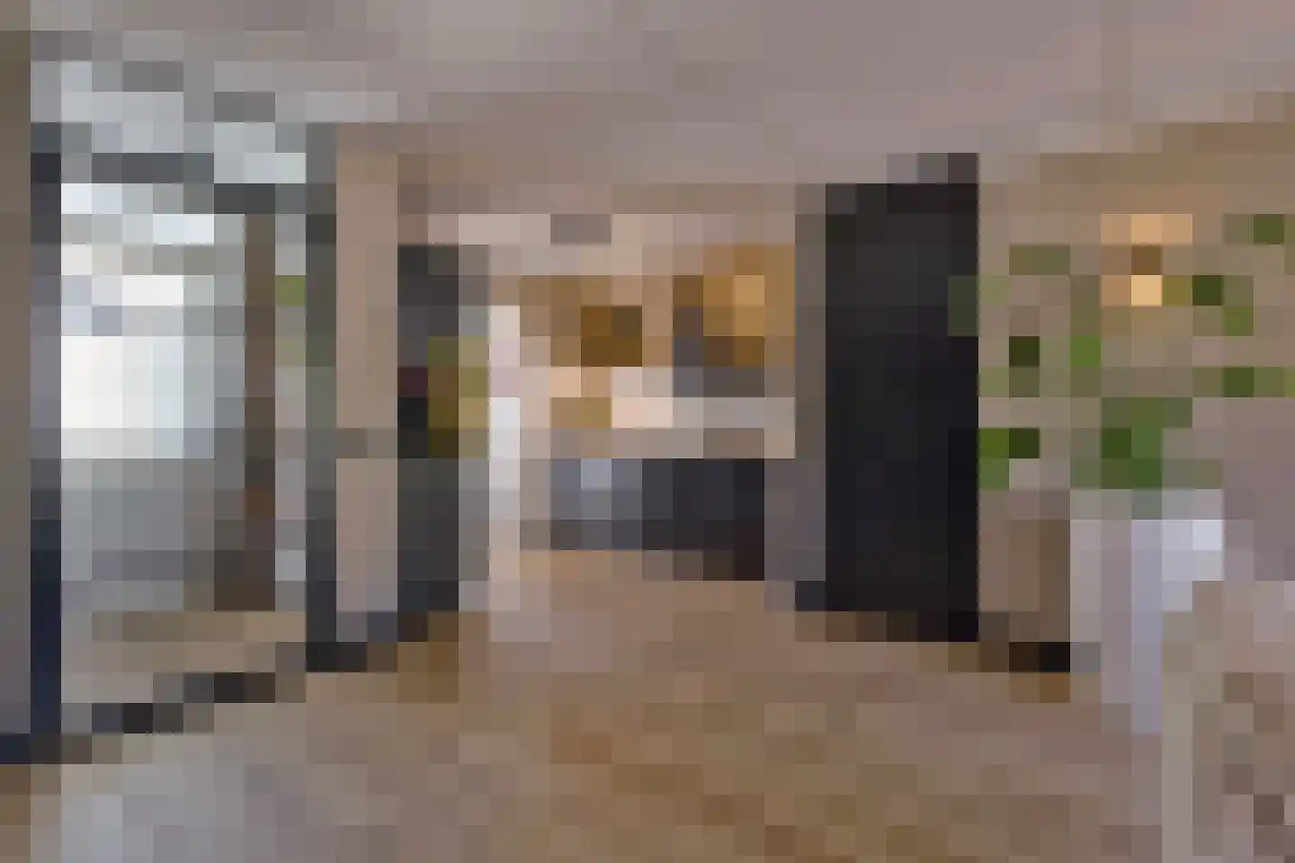 Distel 11 Haaksbergen thumbnail 10