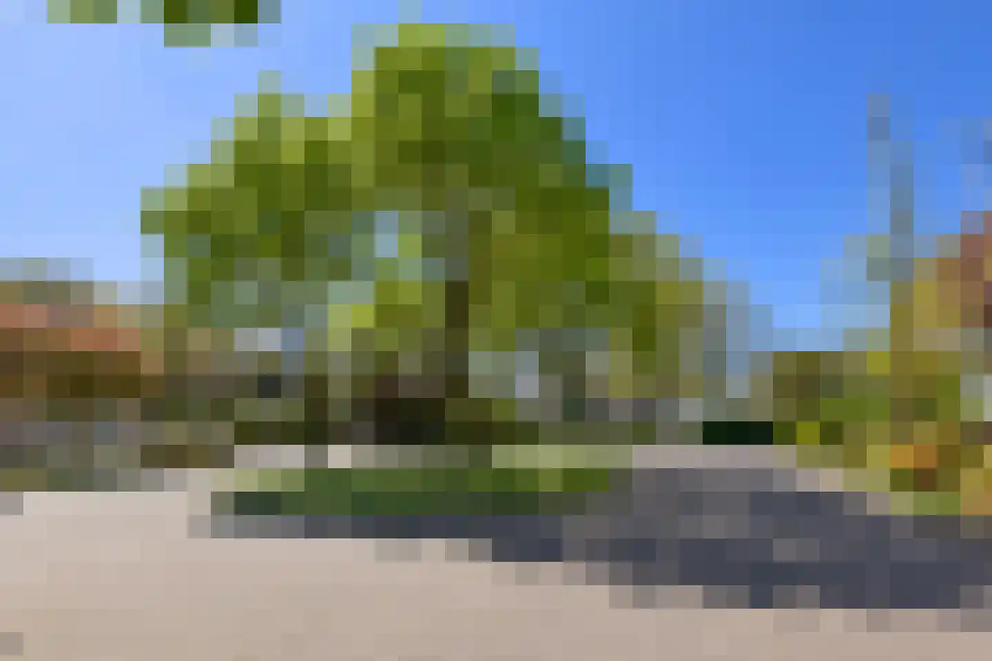 Distel 11 Haaksbergen thumbnail 35