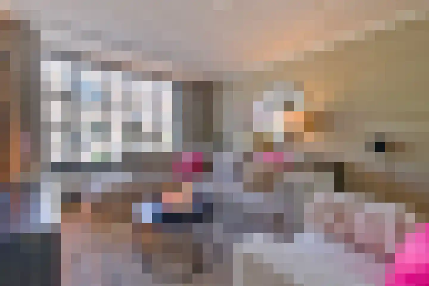 Distel 11 Haaksbergen thumbnail 7