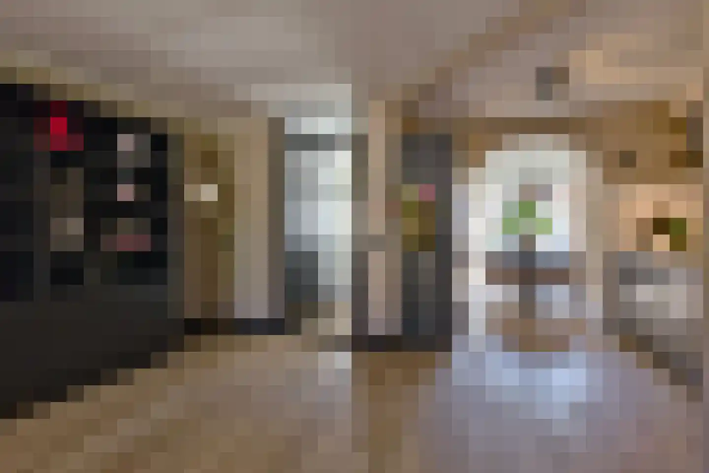 Distel 11 Haaksbergen thumbnail 9