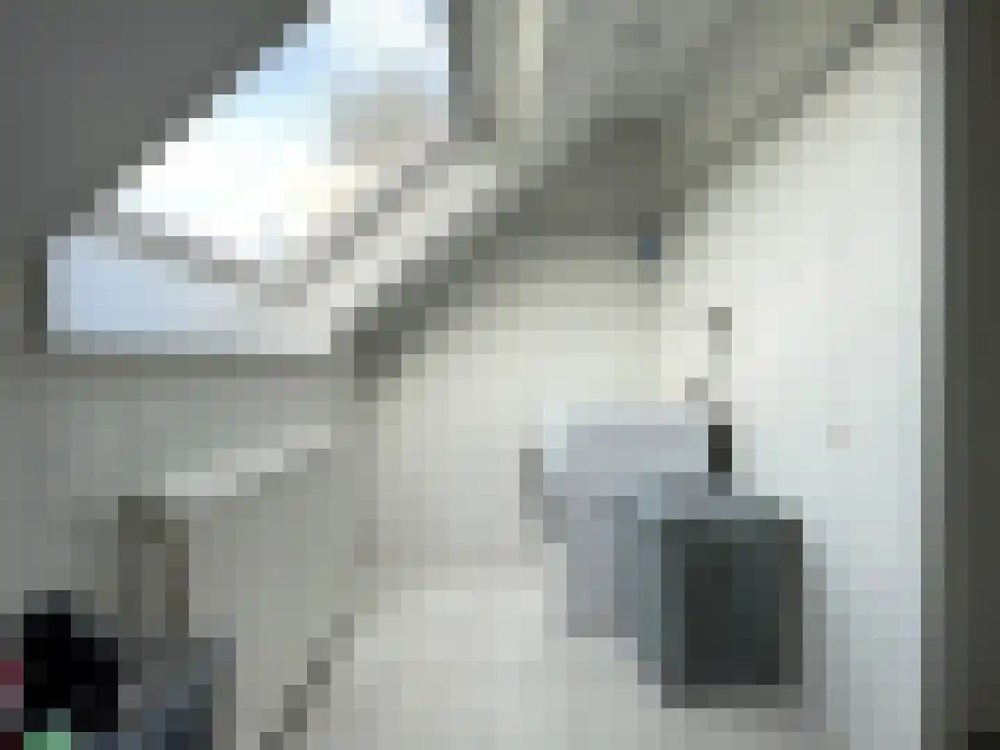 Distel 30 Hapert thumbnail 11