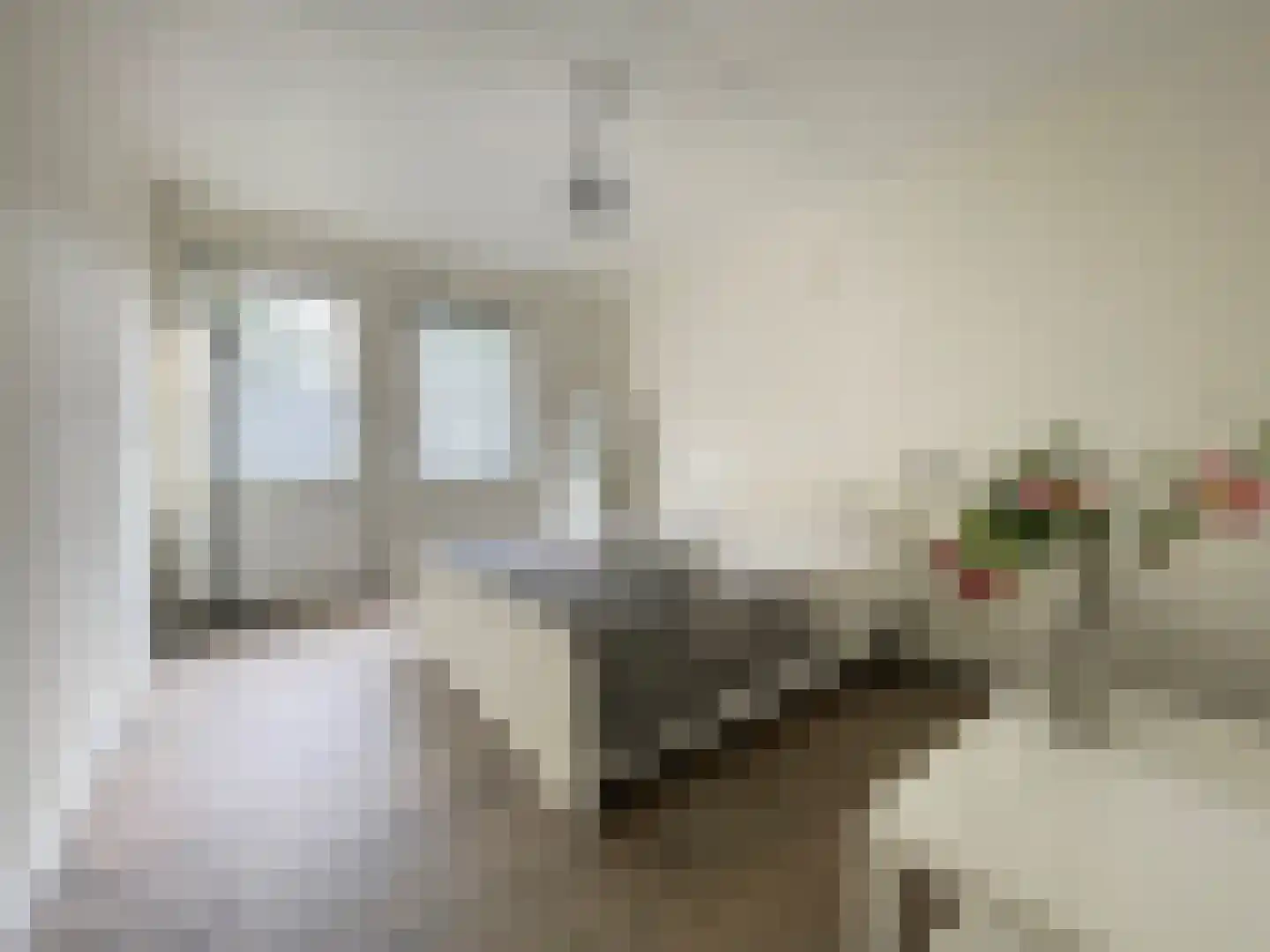 Distel 30 Hapert thumbnail 13