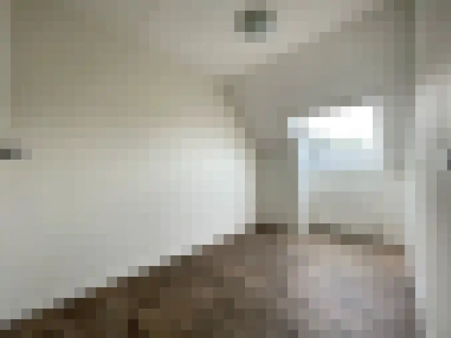 Distel 30 Hapert thumbnail 14
