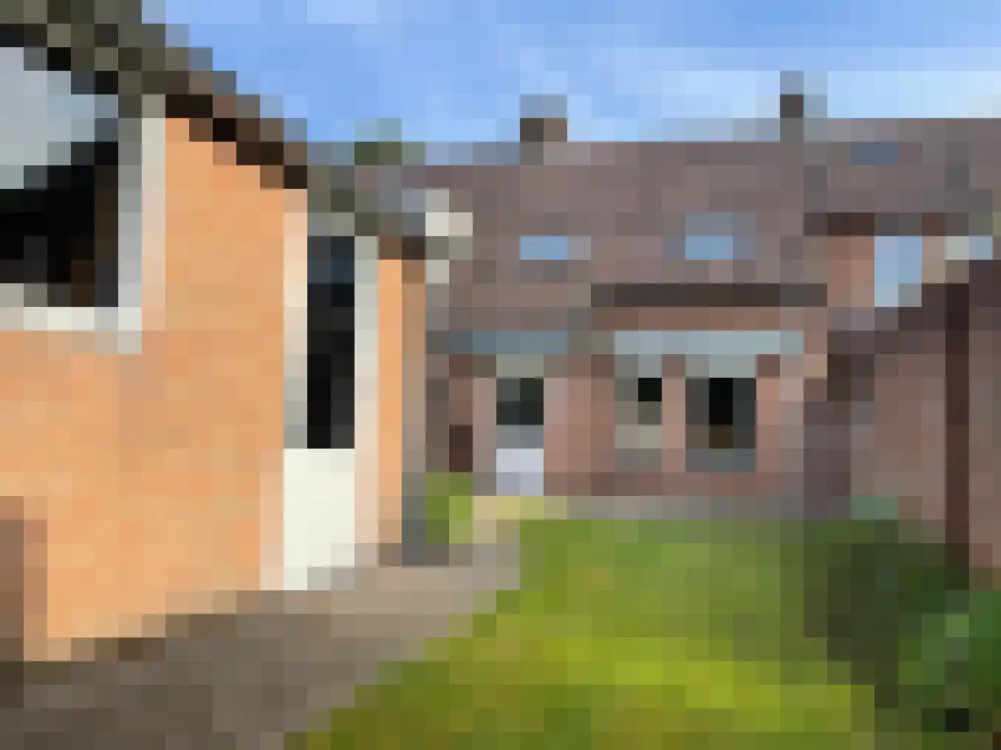 Distel 30 Hapert thumbnail 18