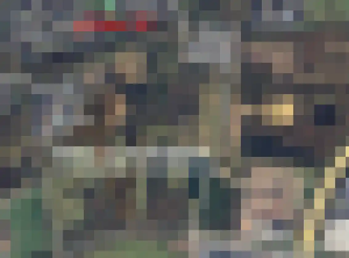 Distel 30 Hapert thumbnail 20