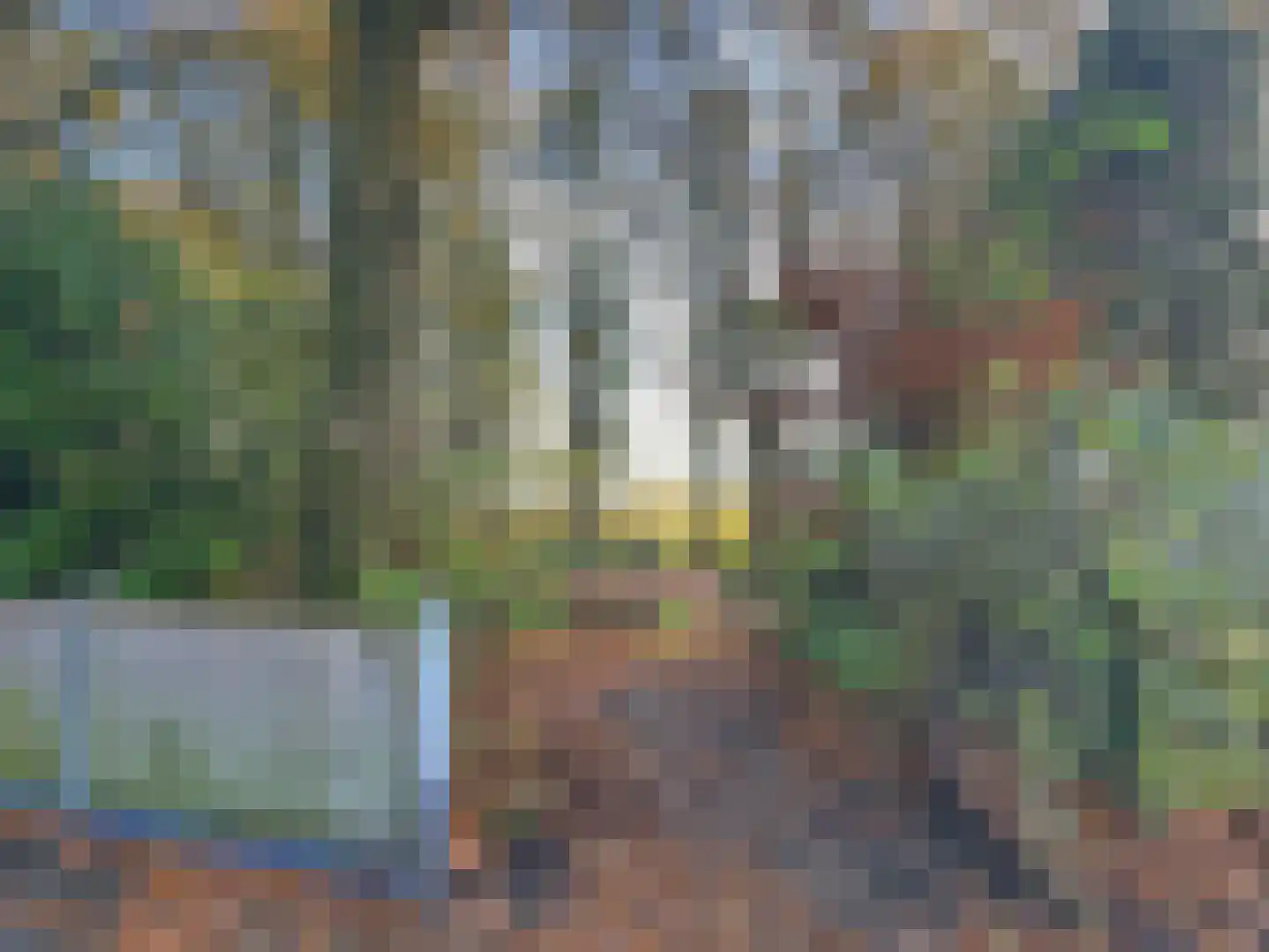 Distel 30 Hapert thumbnail 22