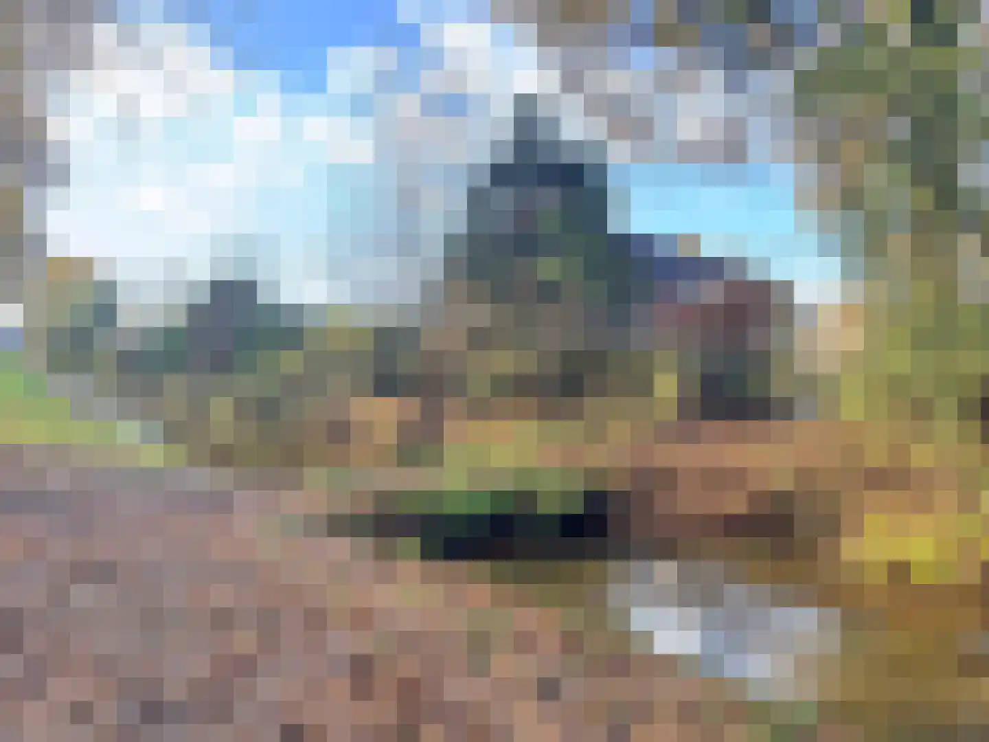 Distel 30 Hapert thumbnail 23