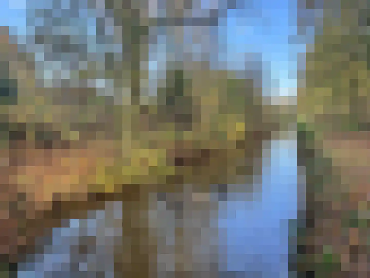 Distel 30 Hapert thumbnail 24
