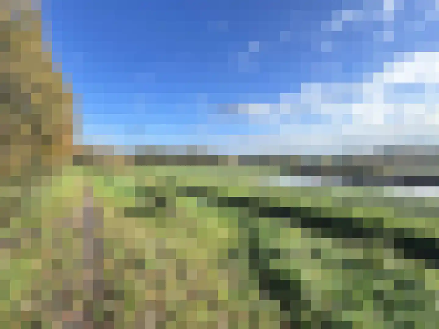 Distel 30 Hapert thumbnail 26