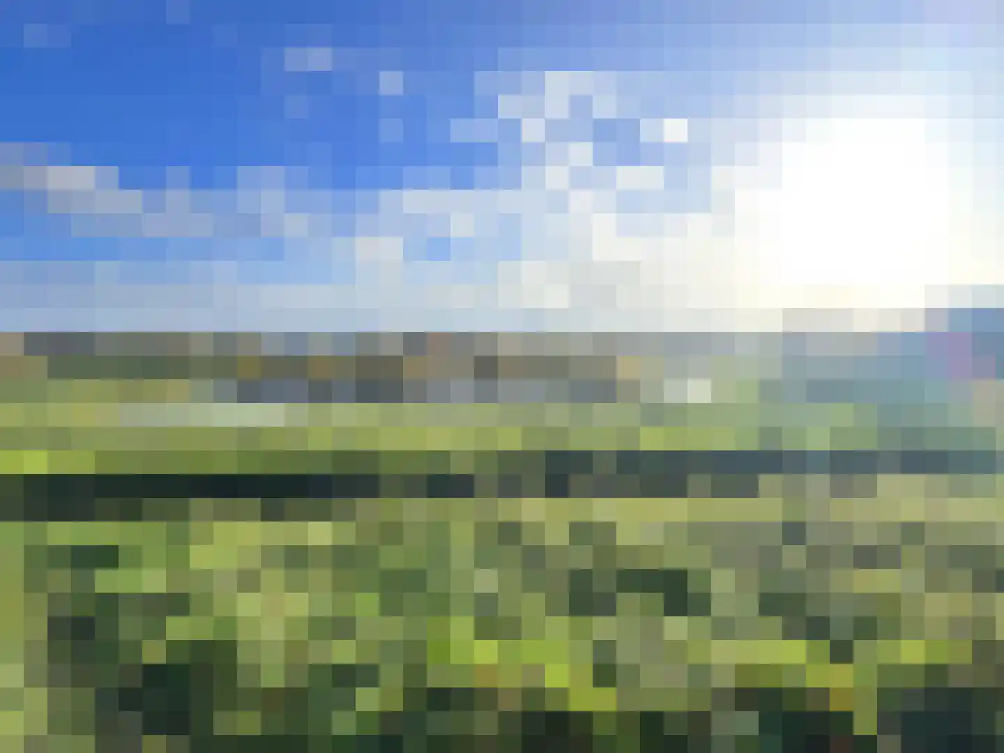Distel 30 Hapert thumbnail 27
