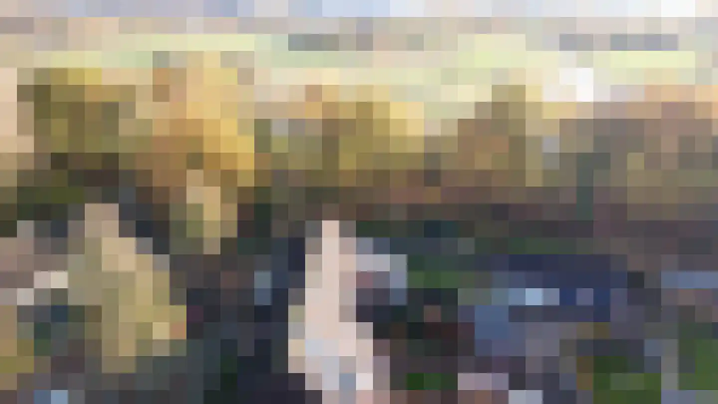Distel 30 Hapert thumbnail 28