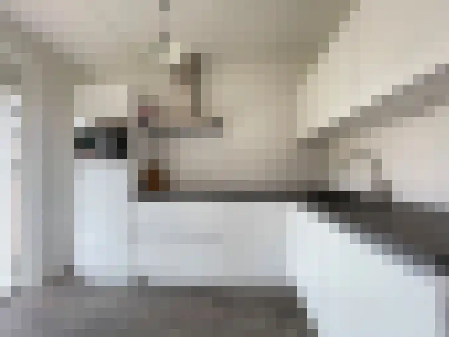Distel 30 Hapert thumbnail 7